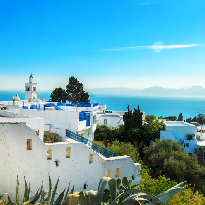 white-blue-city-of-sidi-bou-said-tunisia-eastern-fairy-tale-with-french-charm